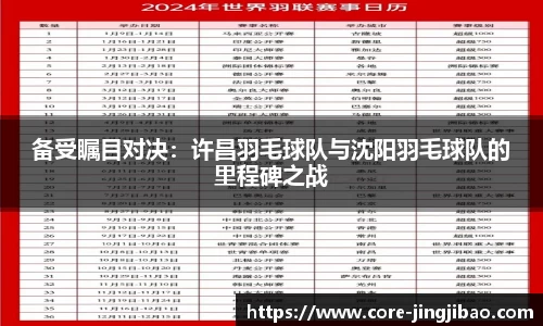 备受瞩目对决：许昌羽毛球队与沈阳羽毛球队的里程碑之战